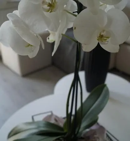 Bascarsija With A View * Sarajevo