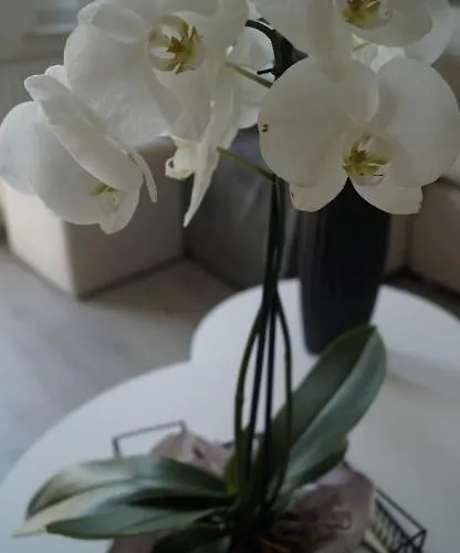 Bascarsija With A View * سراييفو